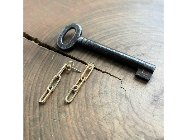 girlfriend gift earrings