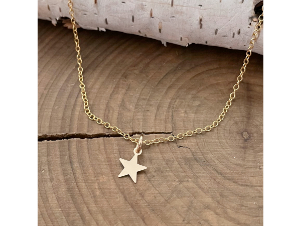 petite gold star necklace